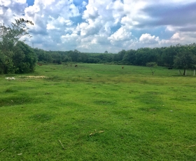 Bán đất 11000m2 củ chi