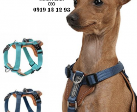 DÂY ĐAI DỆT MAY ĐAI CHO CHÓ, DOY TOYS
