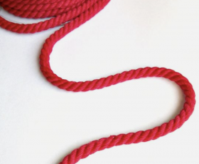 Dây SE leo tại nhà - đa dụng - màu đỏ tươi