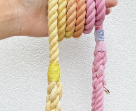 Dây SE phối màu trẻ trung - Dân dụng